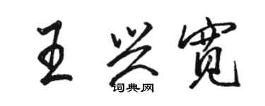 駱恆光王興寬行書個性簽名怎么寫