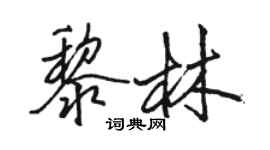 駱恆光黎林行書個性簽名怎么寫