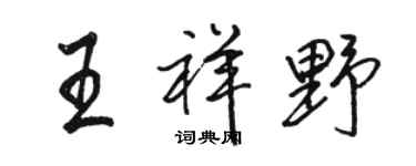 駱恆光王祥野行書個性簽名怎么寫