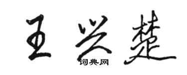 駱恆光王興楚行書個性簽名怎么寫