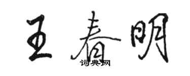 駱恆光王春明行書個性簽名怎么寫