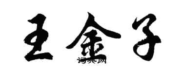 胡問遂王金子行書個性簽名怎么寫