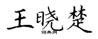 丁謙王曉楚楷書個性簽名怎么寫