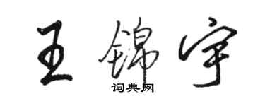 駱恆光王錦宇行書個性簽名怎么寫