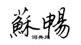 王正良蘇暢行書個性簽名怎么寫