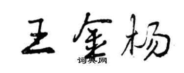 曾慶福王金楊行書個性簽名怎么寫