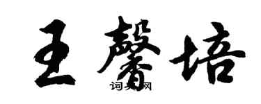 胡問遂王馨培行書個性簽名怎么寫