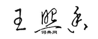 駱恆光王照香草書個性簽名怎么寫