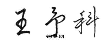 駱恆光王予科行書個性簽名怎么寫