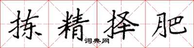 袁強揀精擇肥楷書怎么寫