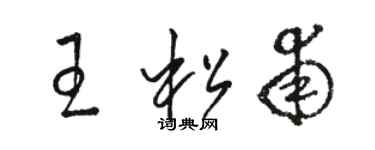 駱恆光王松甫草書個性簽名怎么寫