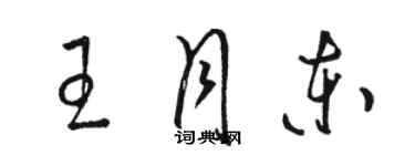 駱恆光王月東草書個性簽名怎么寫