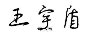 曾慶福王宇盾草書個性簽名怎么寫