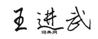 駱恆光王進武行書個性簽名怎么寫
