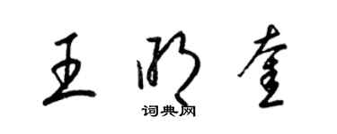 梁錦英王明奎草書個性簽名怎么寫