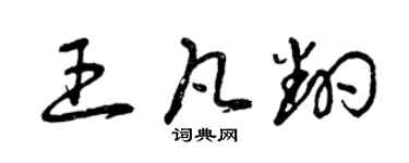 曾慶福王凡翻草書個性簽名怎么寫