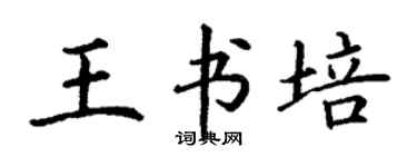 丁謙王書培楷書個性簽名怎么寫