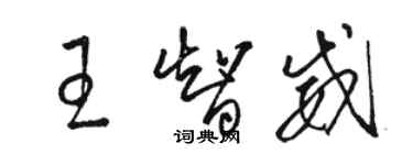 駱恆光王智威草書個性簽名怎么寫