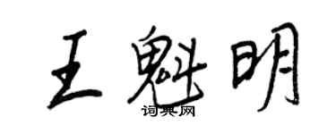 王正良王魁明行書個性簽名怎么寫