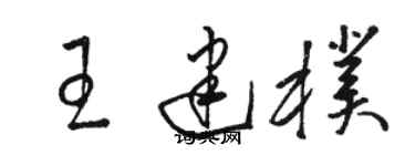駱恆光王建朴草書個性簽名怎么寫