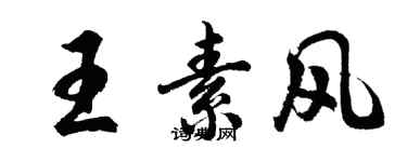 胡問遂王素風行書個性簽名怎么寫