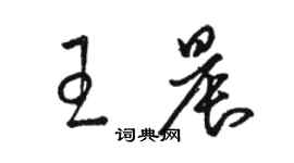 駱恆光王晨草書個性簽名怎么寫