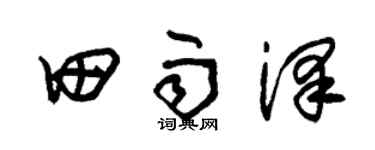 朱錫榮田雨澤草書個性簽名怎么寫