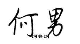 王正良何男行書個性簽名怎么寫
