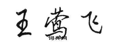 駱恆光王鶯飛行書個性簽名怎么寫