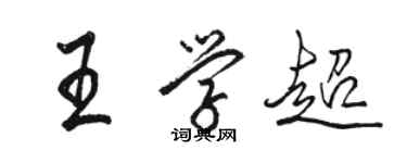 駱恆光王學超行書個性簽名怎么寫