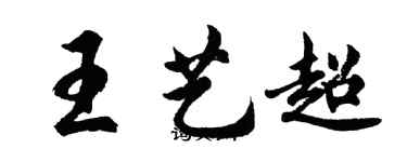 胡問遂王藝超行書個性簽名怎么寫