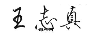 駱恆光王志真行書個性簽名怎么寫