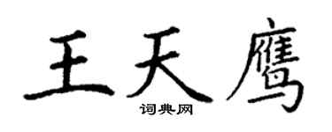 丁謙王天鷹楷書個性簽名怎么寫