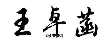 胡問遂王卓菡行書個性簽名怎么寫