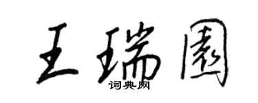 王正良王瑞園行書個性簽名怎么寫