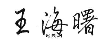 駱恆光王海曙行書個性簽名怎么寫