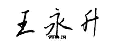 王正良王永升行書個性簽名怎么寫