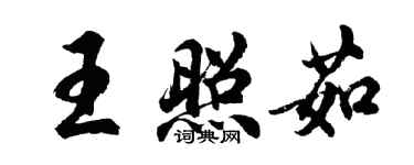 胡問遂王照茹行書個性簽名怎么寫