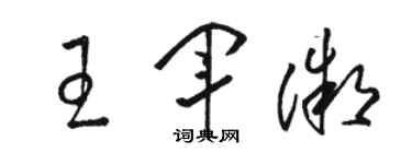 駱恆光王軍微草書個性簽名怎么寫