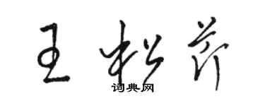 駱恆光王松芹草書個性簽名怎么寫