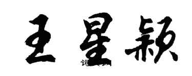 胡問遂王星穎行書個性簽名怎么寫