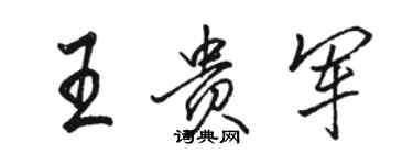 駱恆光王貴軍行書個性簽名怎么寫