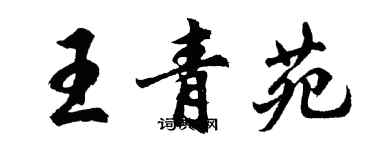 胡問遂王青苑行書個性簽名怎么寫