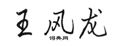 駱恆光王風龍行書個性簽名怎么寫