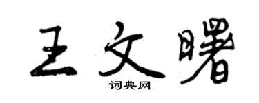 曾慶福王文曙行書個性簽名怎么寫