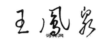 駱恆光王鳳泉草書個性簽名怎么寫