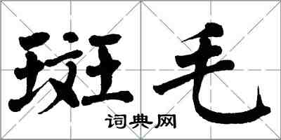 翁闓運斑毛楷書怎么寫