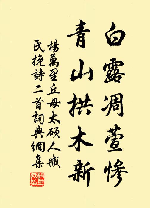 運契天同力,時危禍有根 詩詞名句