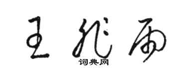 駱恆光王非雨草書個性簽名怎么寫