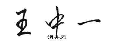 駱恆光王中一行書個性簽名怎么寫